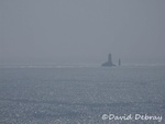 la_vieille_et_la_mer.jpg